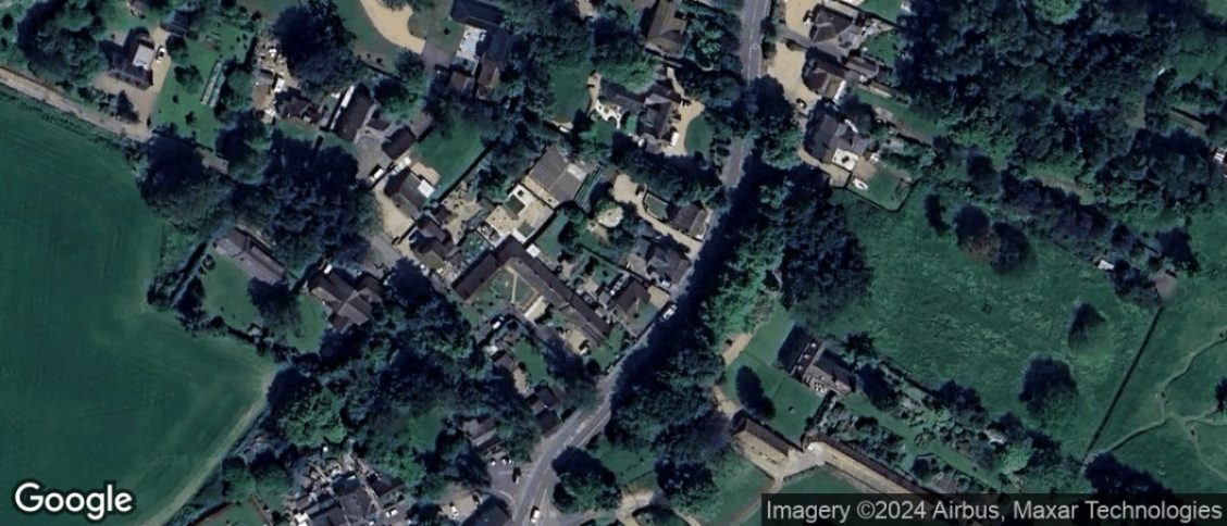 Elm in Wisbech