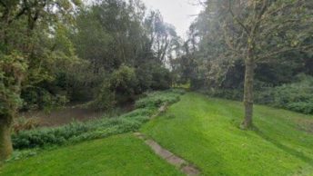 Farleigh Wallop in Basingstoke