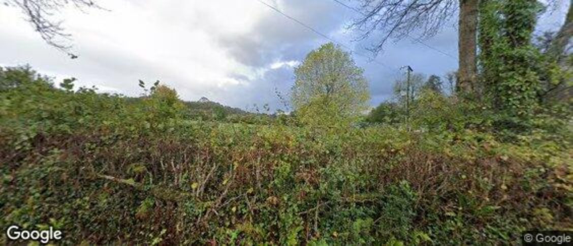 Farway in Colyton