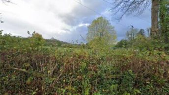 Farway in Colyton