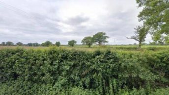 Finchingfield in Braintree