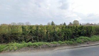 Fordham in Colchester