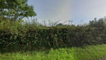 Froxfield in Petersfield