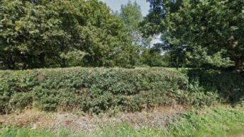 Fryerning in Ingatestone