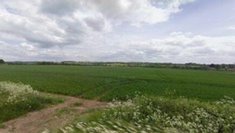 Furneux Pelham in Buntingford