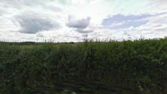 Fyfield in Andover
