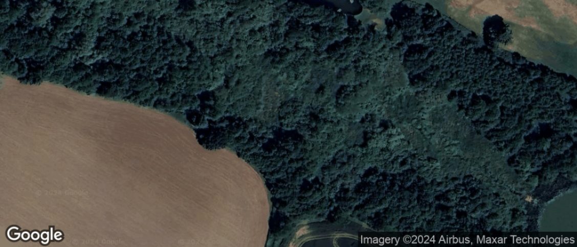 Gosfield in Halstead