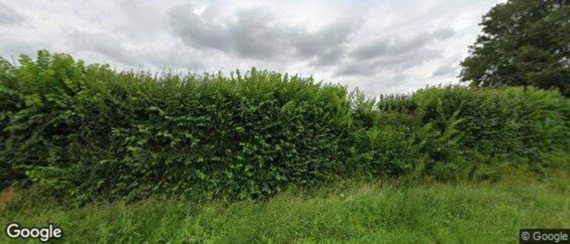 Great Canfield in Dunmow