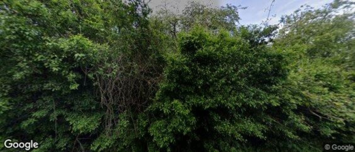 Great Sampford in Saffron Walden