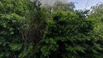 Great Sampford in Saffron Walden