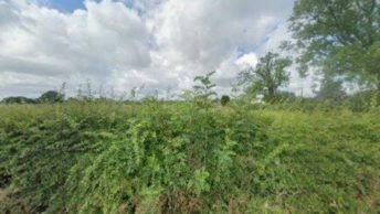 Grimsargh in Preston