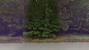 Gulworthy in Tavistock