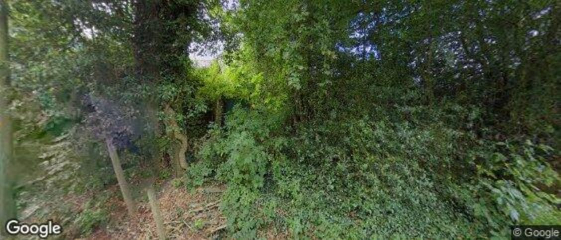 Halstead in Leicester