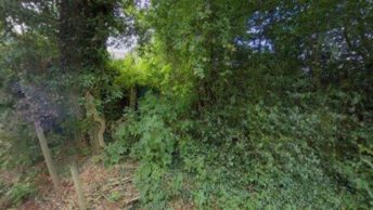 Halstead in Leicester