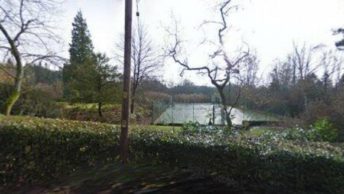 Hambledon in Godalming