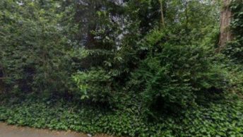 Hampton-In-Arden in Solihull