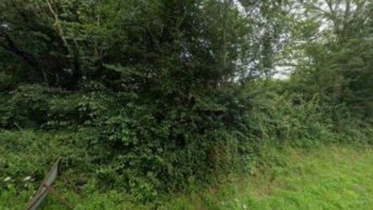 Hartley Wespall in Hook