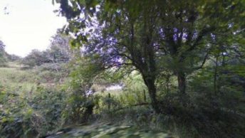 Hewelsfield in Lydney