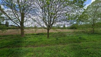 Highwood in Chelmsford