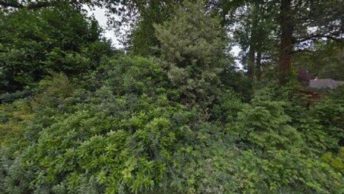 Hiltingbury in Eastleigh