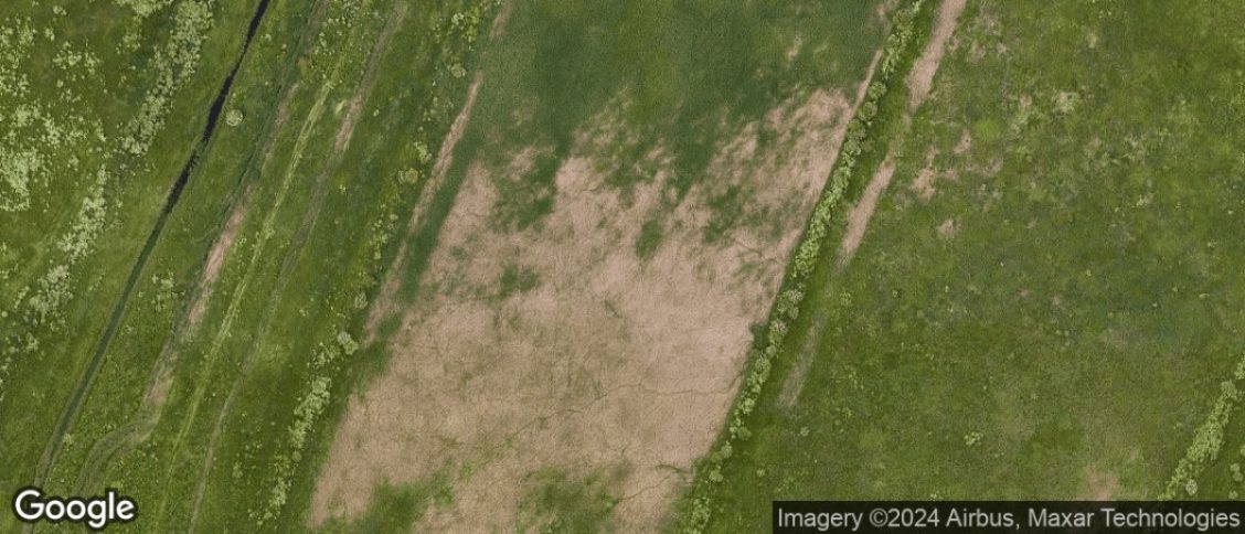 Holland Park in Kensington & Chelsea