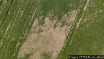 Holland Park in Kensington & Chelsea