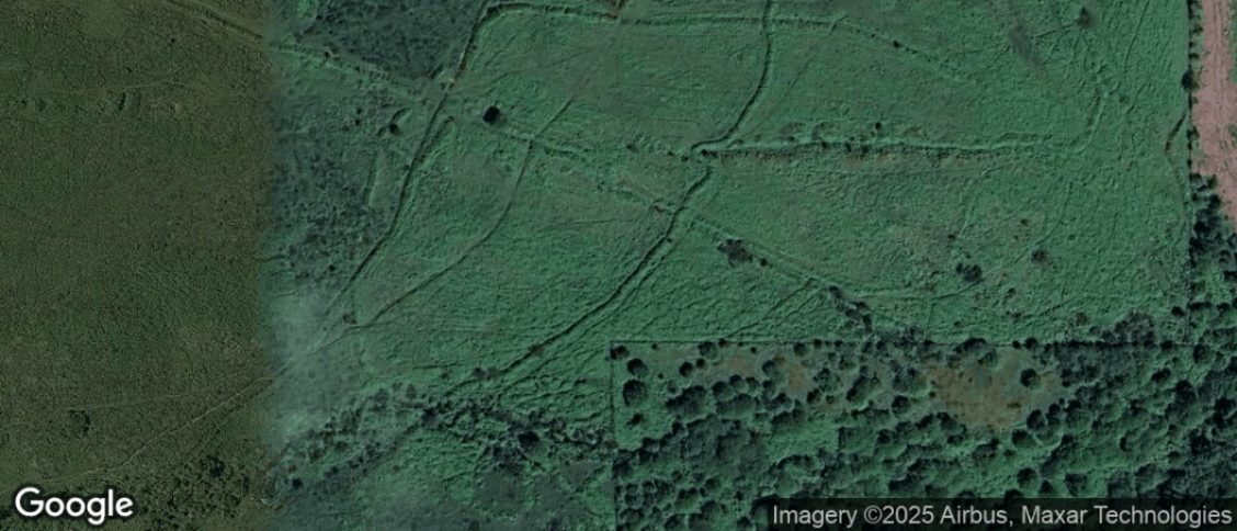 Holne in Newton Abbot