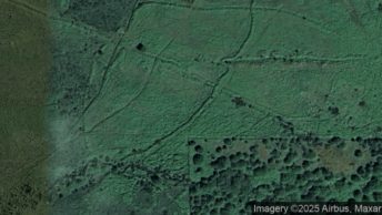 Holne in Newton Abbot