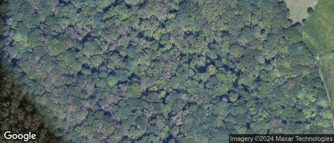 Holymoorside in Chesterfield