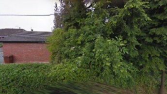 Hyde Lea in Stafford