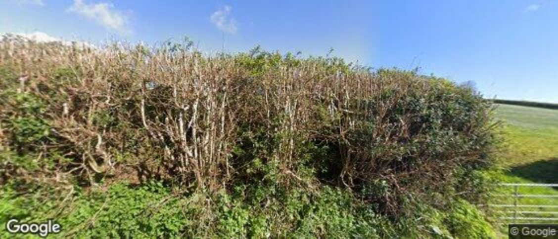 Ilsington in Newton Abbot