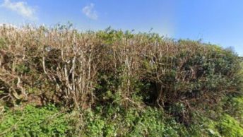 Ilsington in Newton Abbot