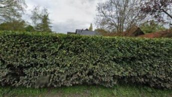 Inworth in Colchester