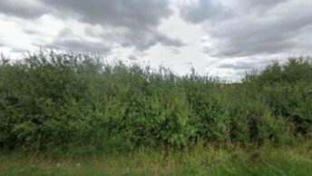Keal Cotes in Spilsby