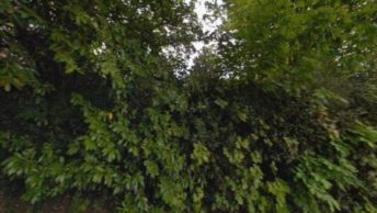 Knockholt in Sevenoaks