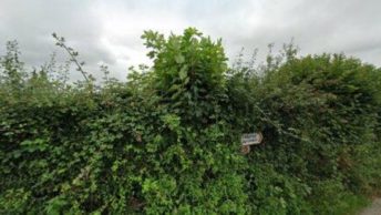 Lamerton in Tavistock