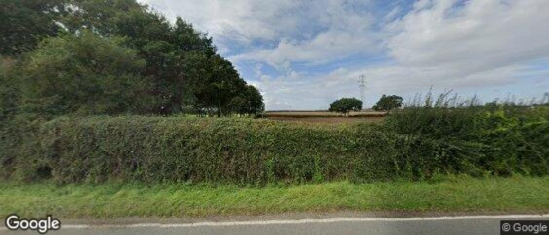 Layer Breton in Colchester