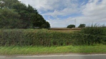 Layer Breton in Colchester