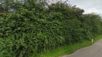 Leicester Forest East in Leicester