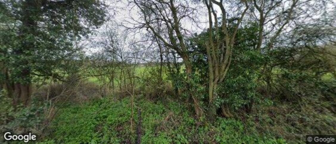 Little Baddow in Chelmsford