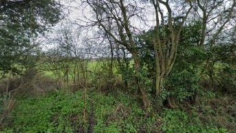 Little Baddow in Chelmsford