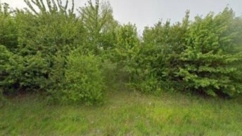 Little Dunmow in Dunmow