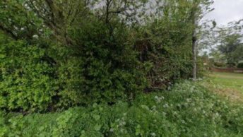 Little Totham in Maldon