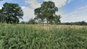 Longford in Ashbourne