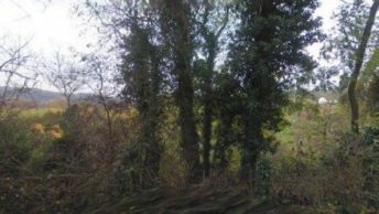 Lower Basildon in Reading