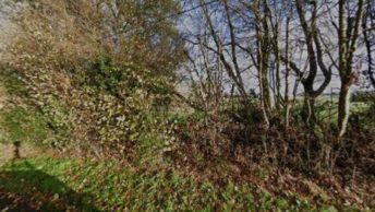 Lower Hardres in Canterbury