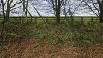 Loxbeare in Tiverton