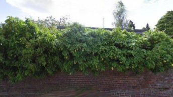 Lynsted in Sittingbourne