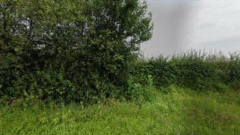 Magdalen Laver in Ongar