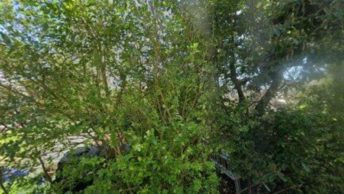 Manaton in Newton Abbot